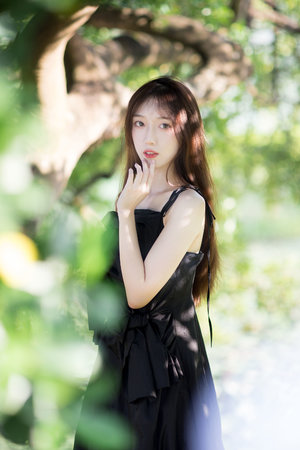 李丽黑色大狗小说免费阅读